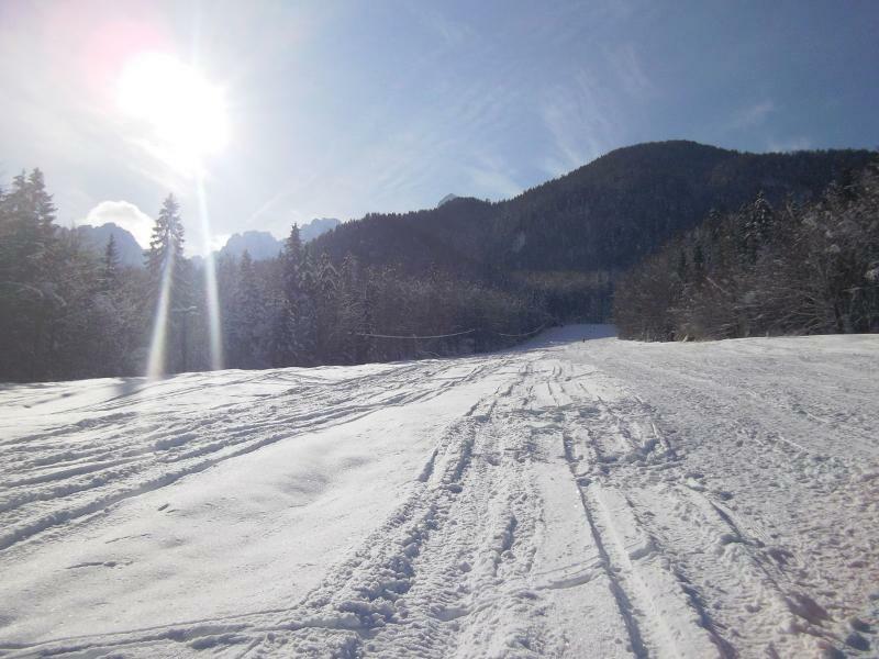 Rute Hotel And Apartments Kranjska Gora Dış mekan fotoğraf