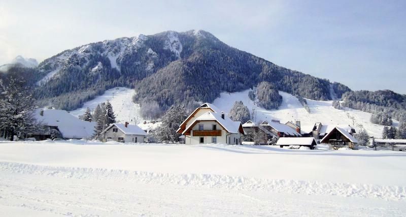 Rute Hotel And Apartments Kranjska Gora Dış mekan fotoğraf